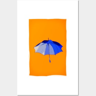 Umbrella Posters and Art